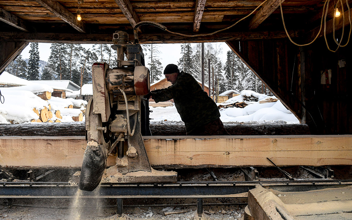 Какие бизнесмены больше всего инвестируют в освоение российских лесов