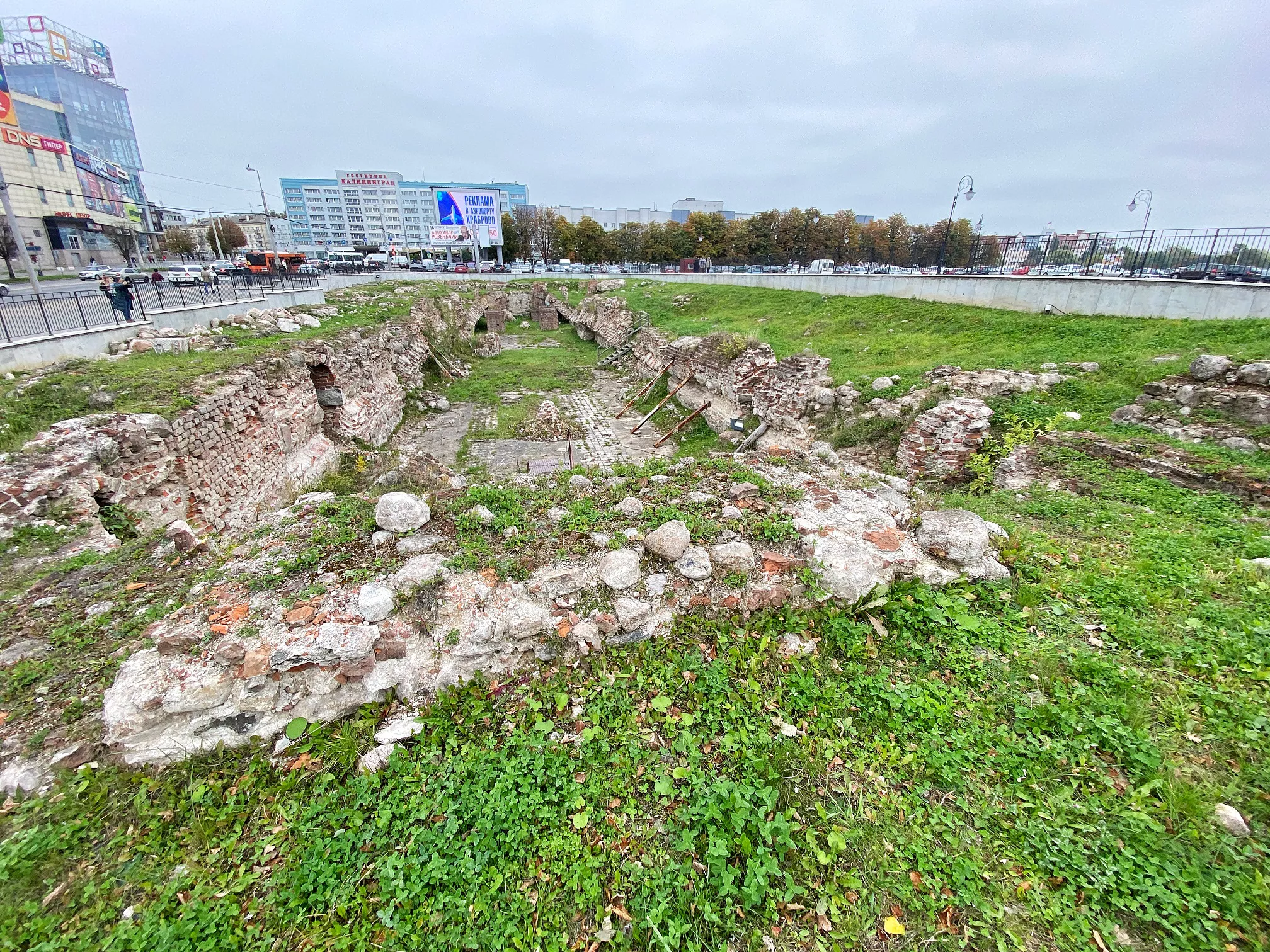 Александр Подгорчук