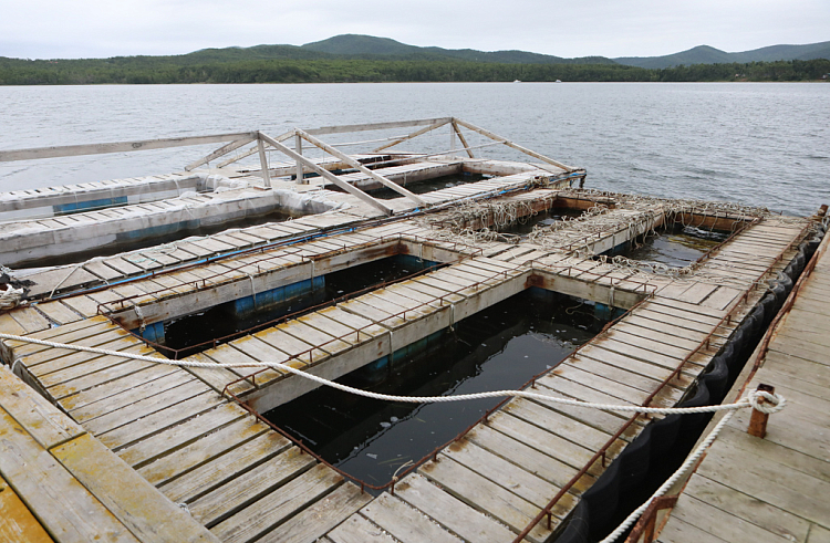 Правительство Приморского края