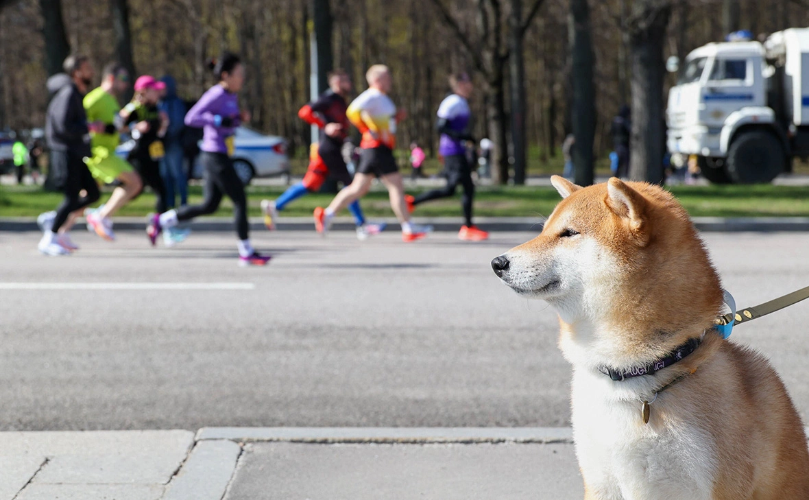 Ярослав Чингаев / АГН «Москва»