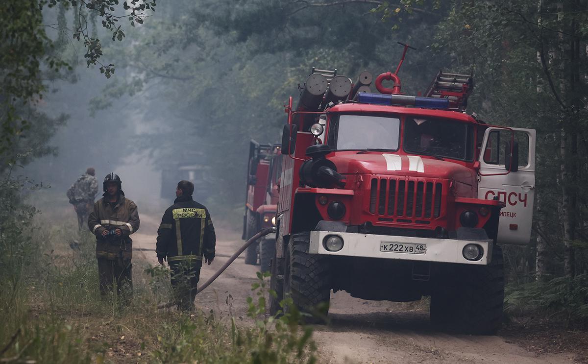 Рослесхоз заявил, что пожар в Рязанской области не угрожает Подмосковью