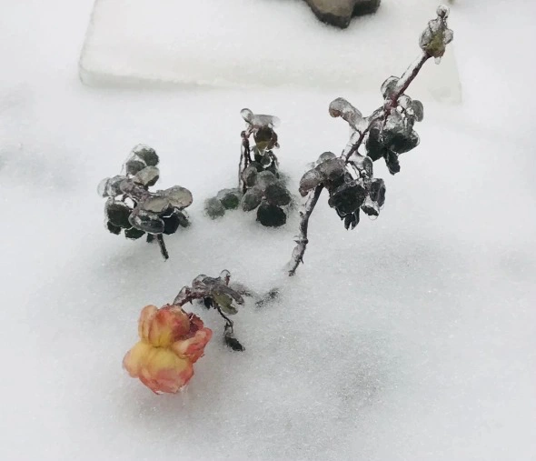 РБК Приморье