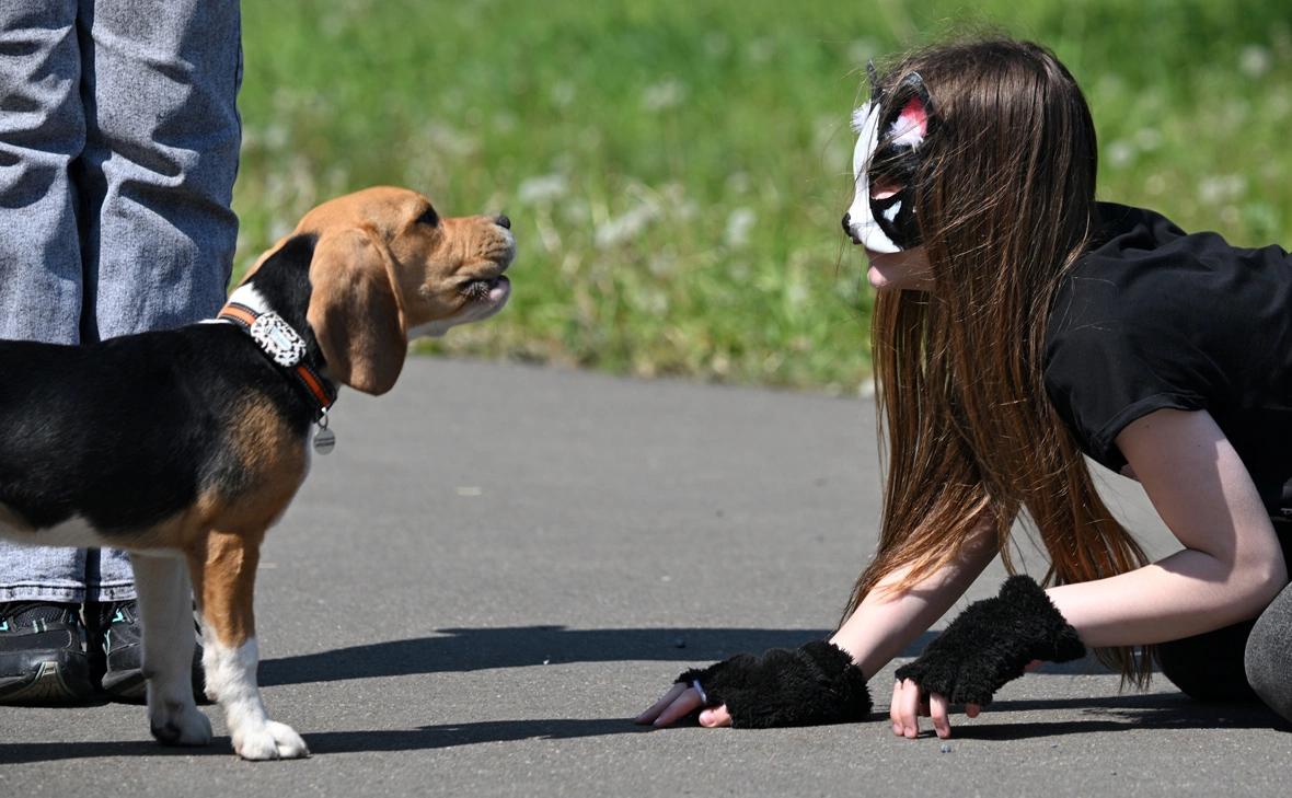 Максим Богодвид / РИА Новости
