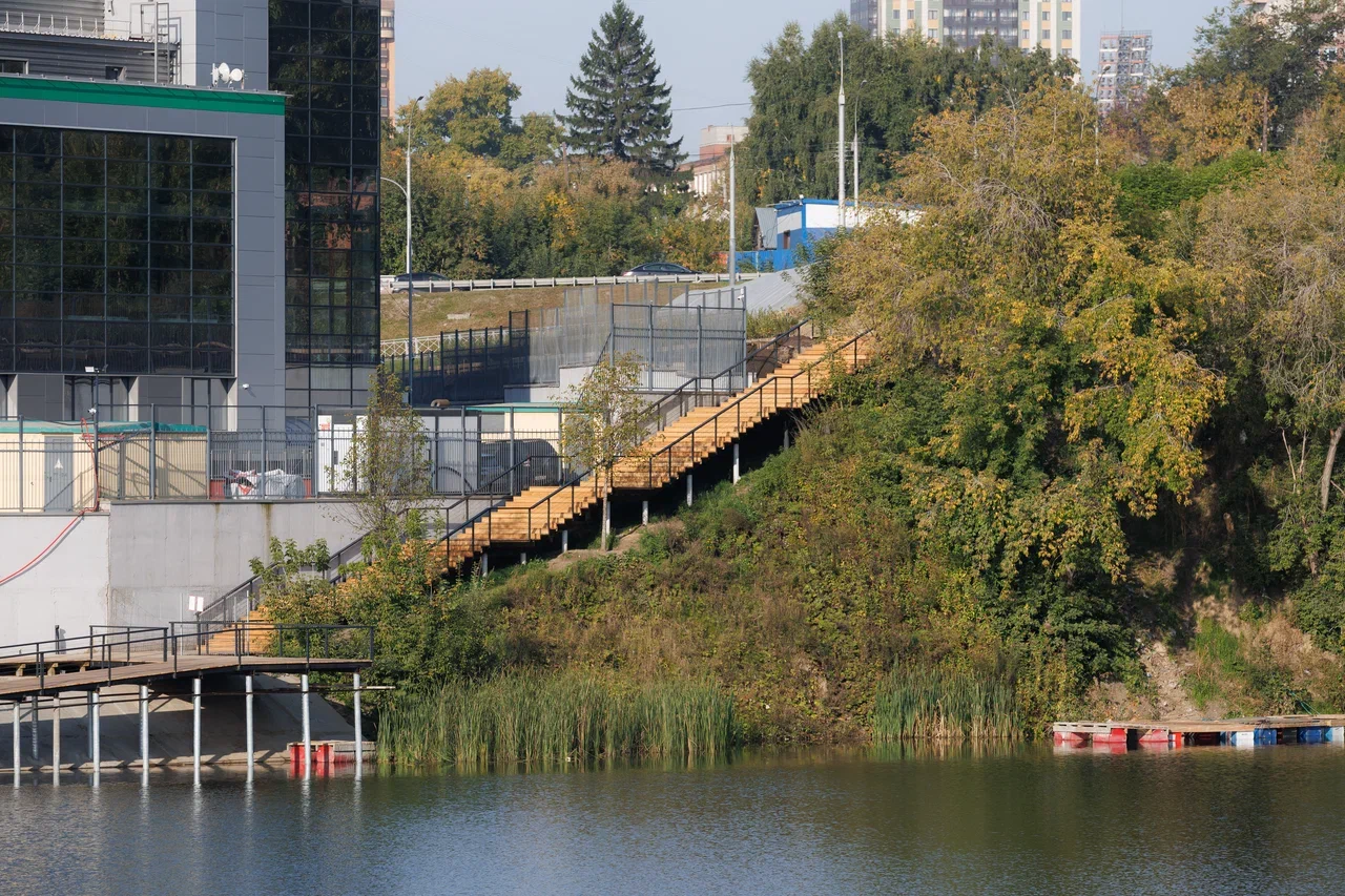 Фото: Брусника