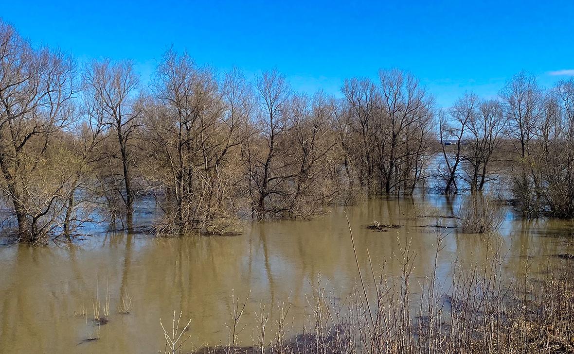 Фото: Наталья Шалыгина / ФедералПресс / ТАCC