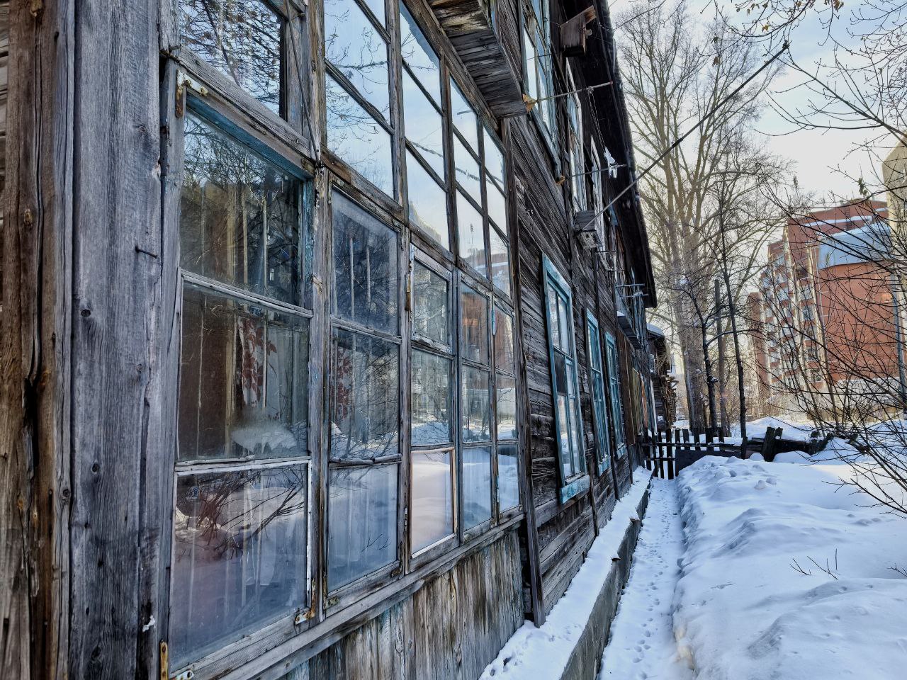 Фото: Алексей Коваленок / РБК Новосибирск