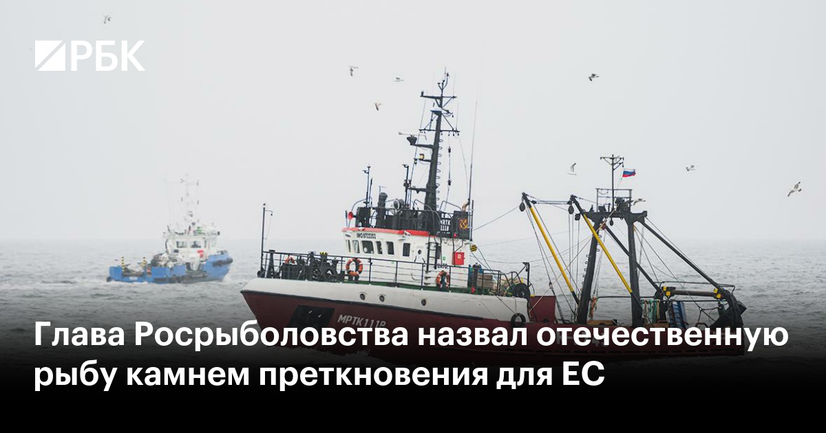 Глава Росрыболовства назвал отечественную рыбу камнем преткновения для ЕС