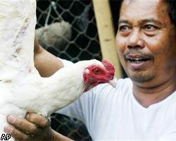 В Индонезии зарегистрирована очередная жертва "птичьего гриппа"