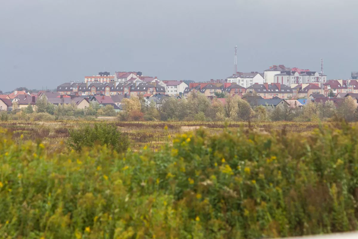 Александр Подгорчук