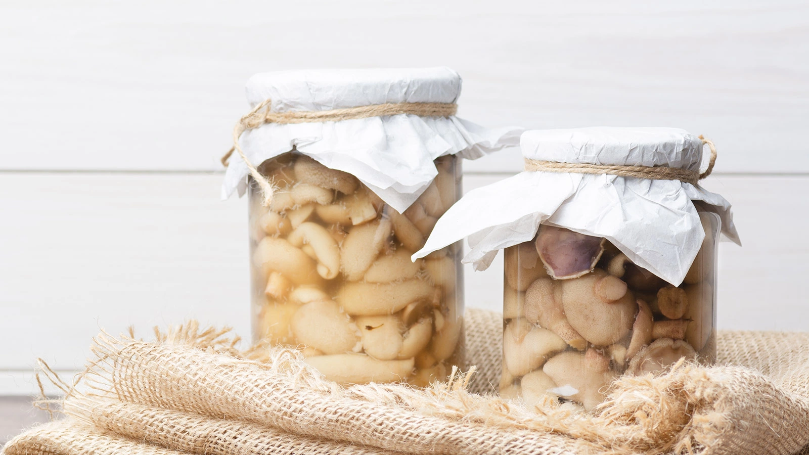 Порно видео үй тапсырмасының мобильді нұсқасы Жалаңаш томпақ аққұбалар