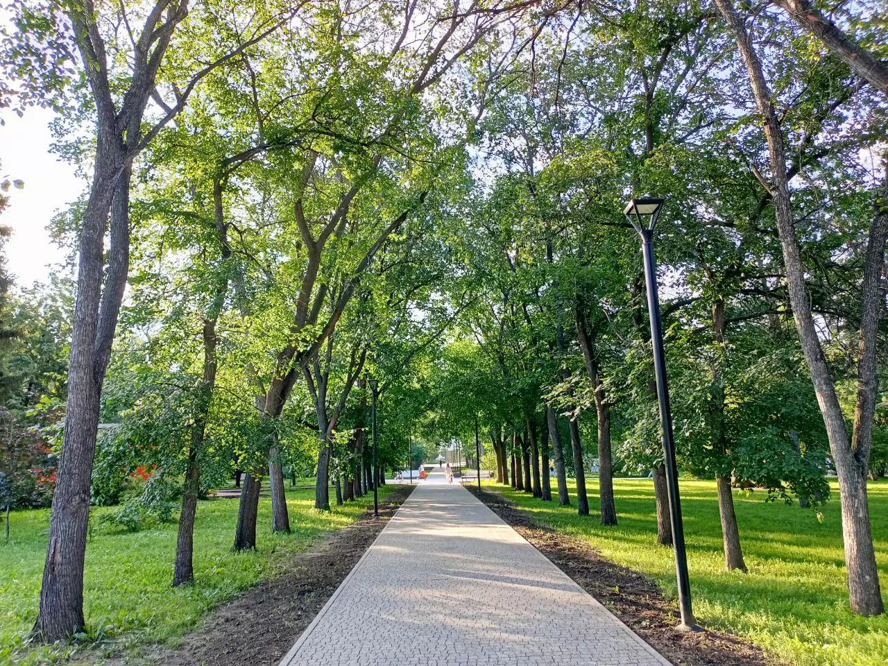 Алексей Коваленок / РБК Новосибирск