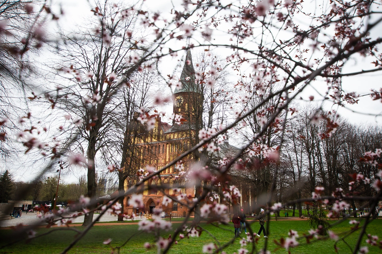 Александр Подгорчук