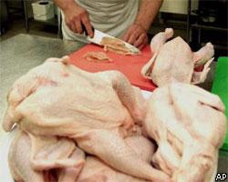 Россия ввела запрет на ввоз мяса птицы из Техаса 