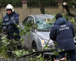 Ураган в Москве угрожает автомобилям и линиям электропередачи