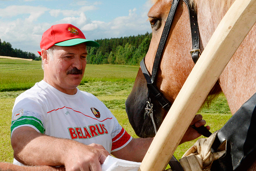 Президент Белоруссии&nbsp;Александр Лукашенко&nbsp;&mdash; большой любитель животных. В ноябре 2016 года он рассказал о своих домашних питомцах: по словам белорусского лидера, у него живут три кошки и много других животных. &laquo;Ой, у меня всех очень много. Есть страусы, индоутки, утки, 25 гусят, куры китайские, куры обычные, индюки &mdash;&nbsp;штук десять, кролики &mdash;&nbsp;раньше их было много, но раздал, осталось около 20, я их не ем &mdash;&nbsp;не дай бог, ребенок увидит, десять коров, козы, овцы, 7&ndash;8 лошадей. Еще у меня четыре собаки: две лайки, лабрадор, немецкая овчарка&raquo;, &mdash; рассказывал Лукашенко.