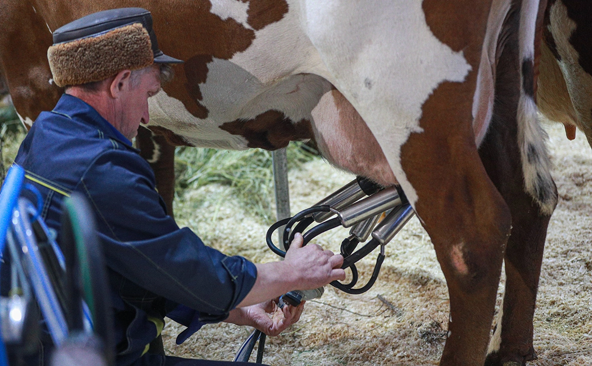 Сергей Булкин / NEWS.ru / Global Look Press