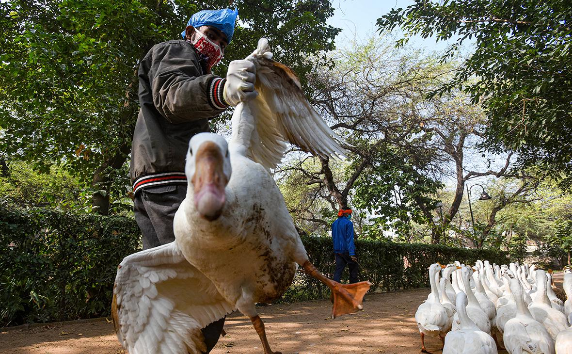 Фото:Hindustan Times / Imago Images / Global Look Press