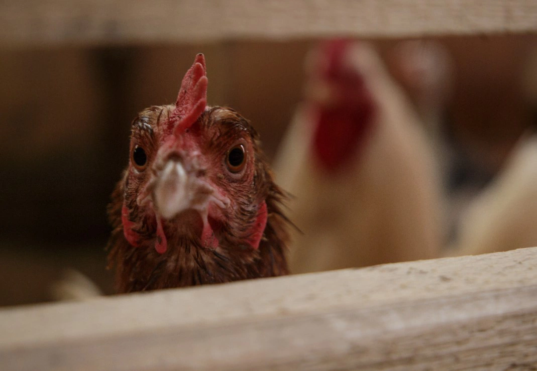 Анастасия Яковлева / URA.RU