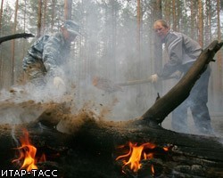 На территории лесного фонда России зафиксировано 168 пожаров