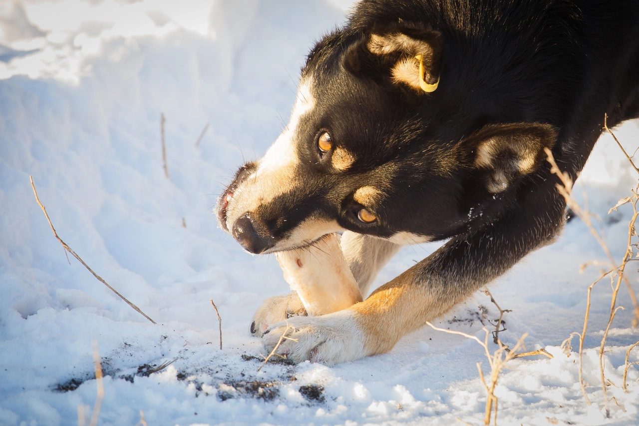 Илья Московец / РИА URA.RU
