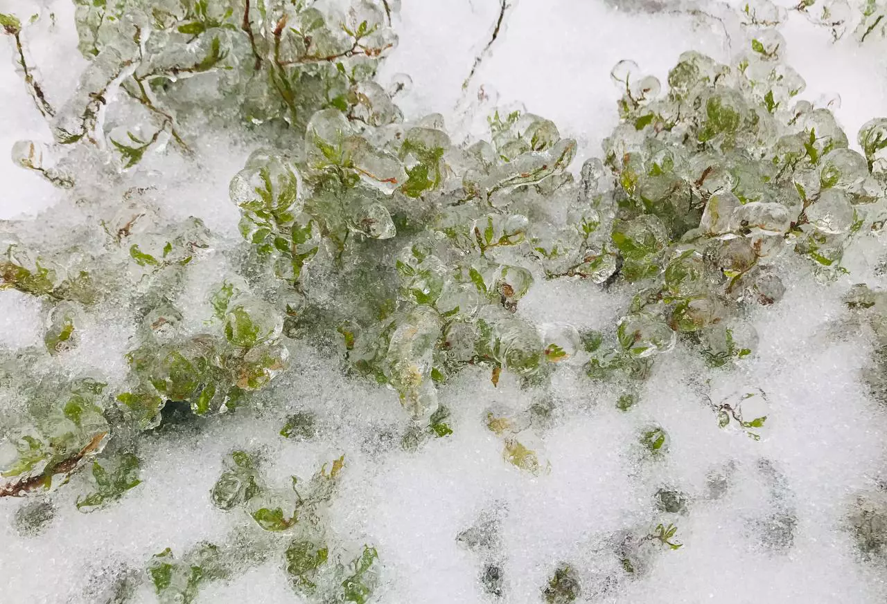 РБК Приморье