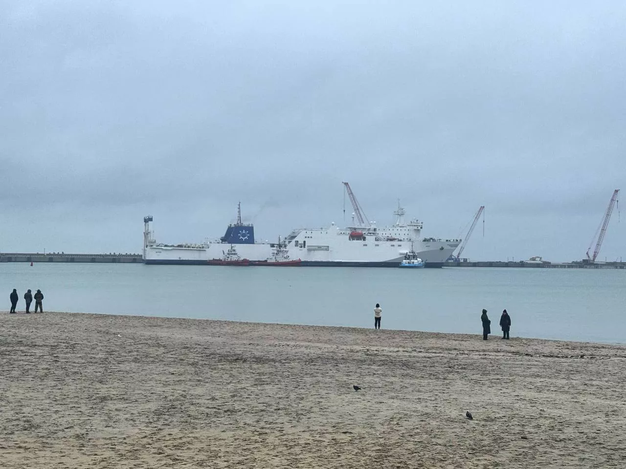 https://t.me/FerrylineKaliningrad/311