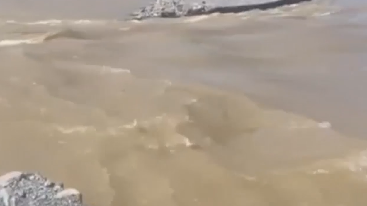 Последствия паводка на Алтае. Видео