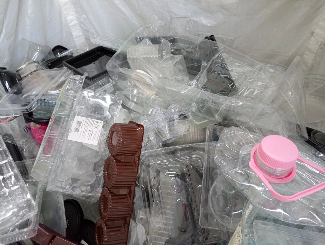 РБК Приморье