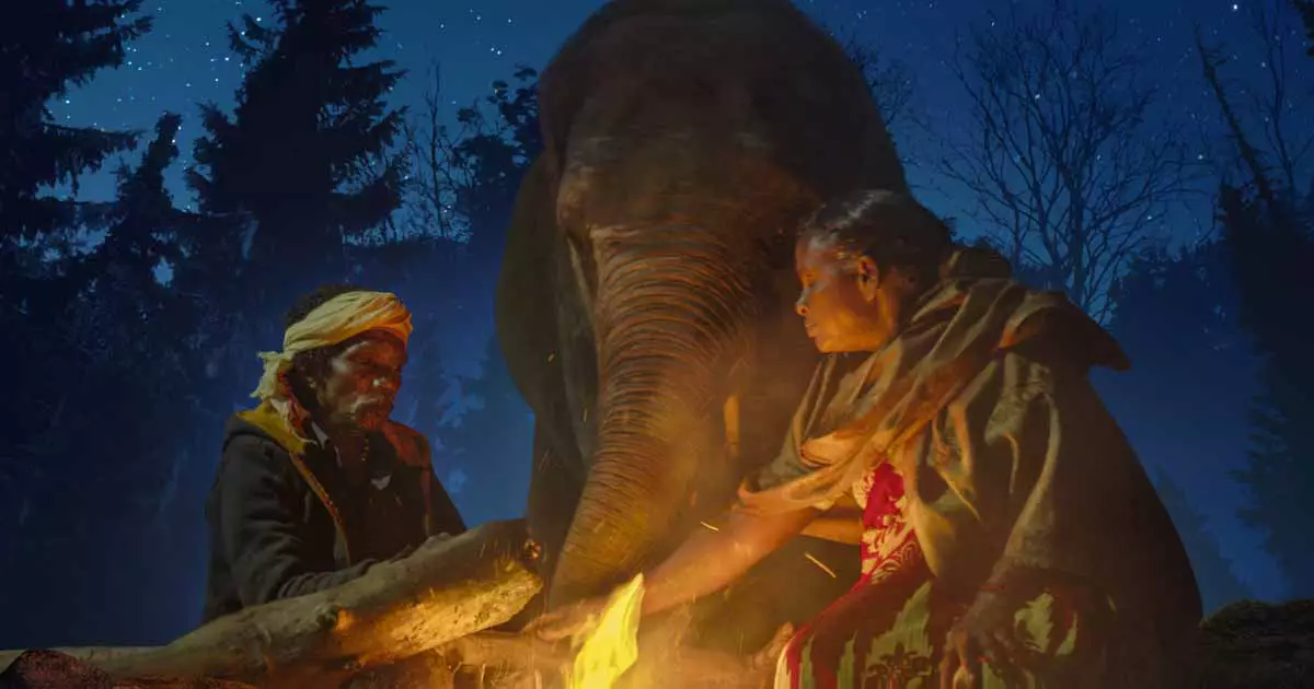 Кадър от филма""The Elephant Whisperers"