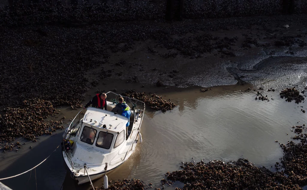  Louis Witter / Getty Images