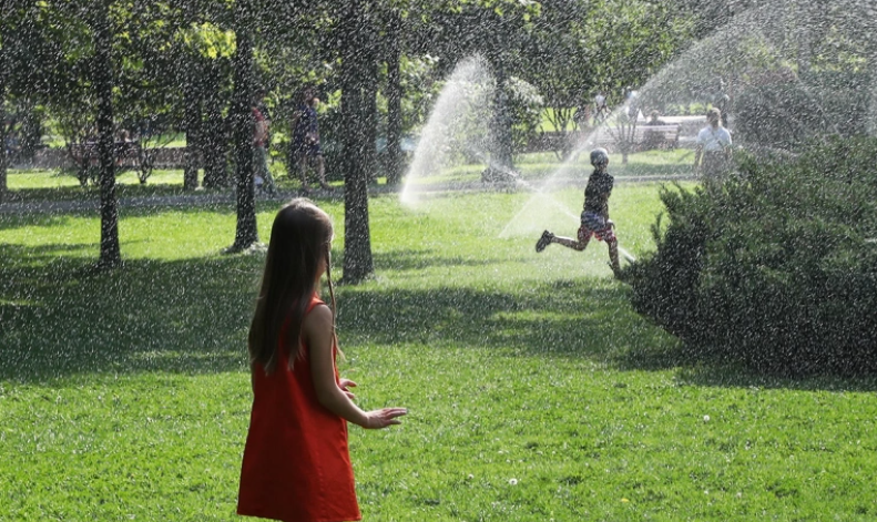 Андрей Любимов / РБК