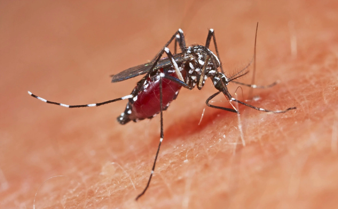 Imago / Blickwinkel / TACC