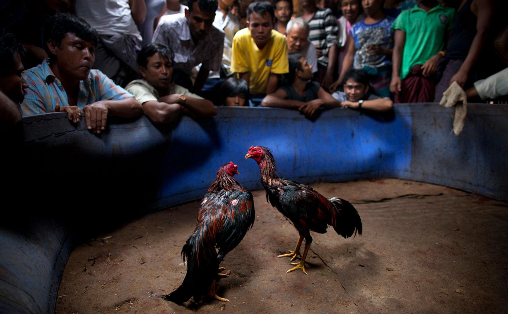 Фото: Paula Bronstein / Getty Images