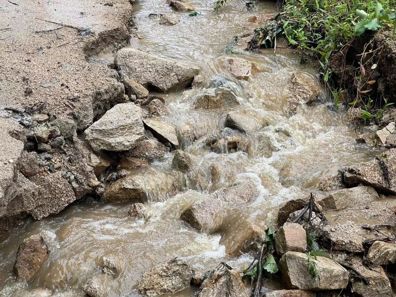 РБК Приморье