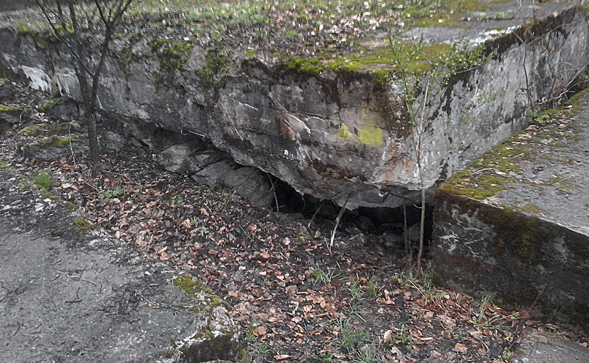 Bartlomiej Plebanczyk / AP / ТАСС