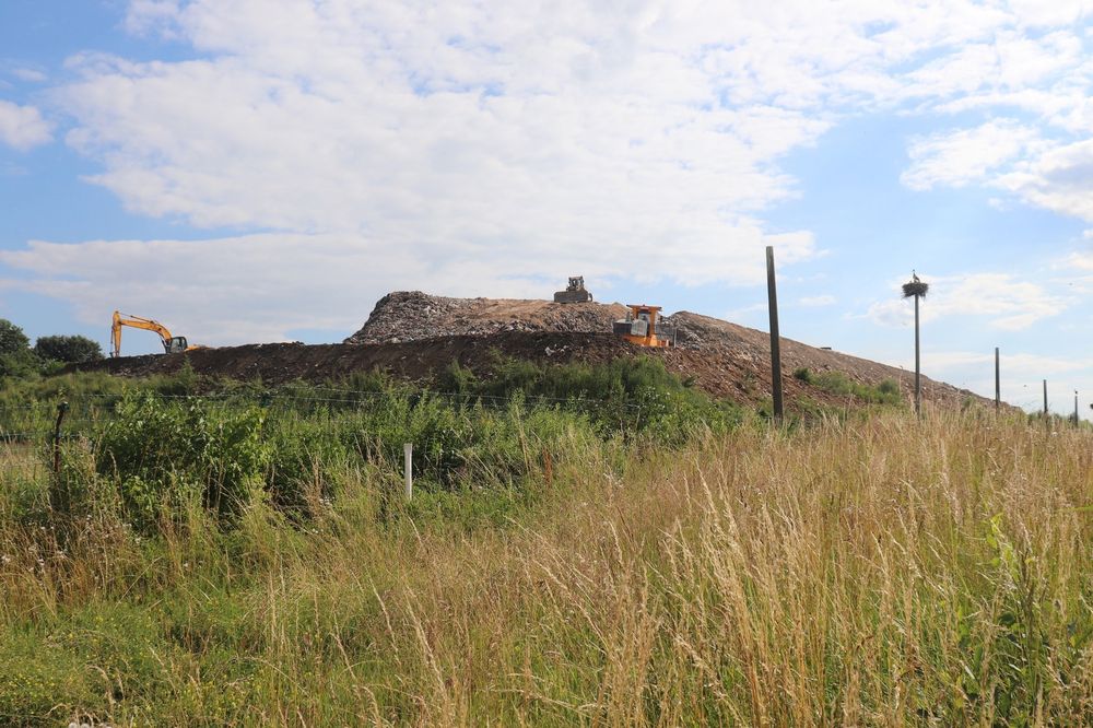 Фото: https://greenfront.su/post/7709