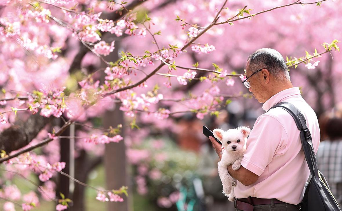 В Японии начали платить одиноким за установку приложений для знакомств