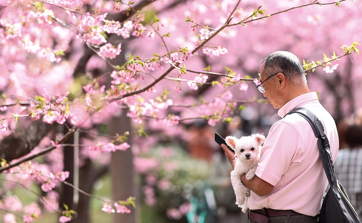 Takashi Aoyama / Getty Images