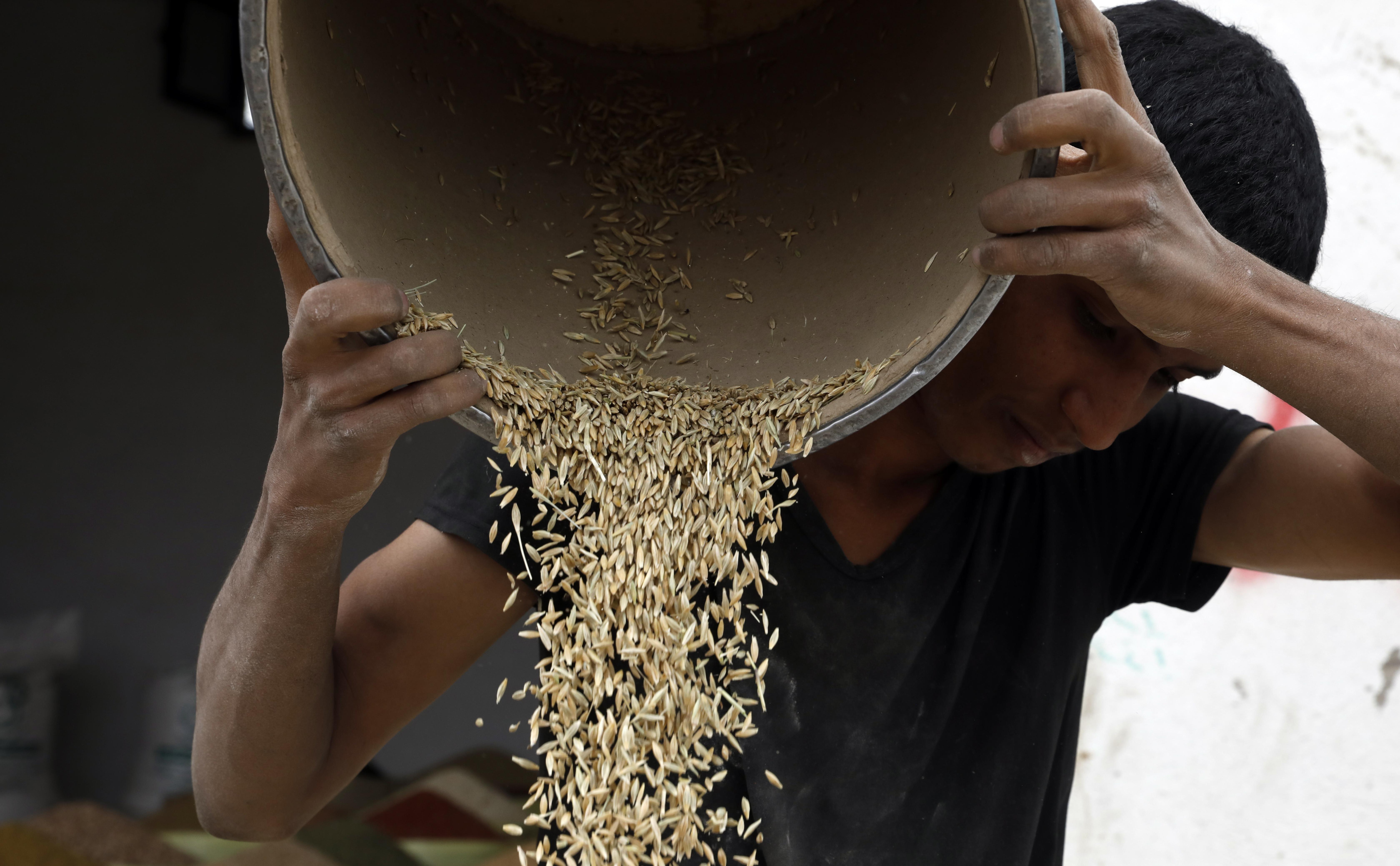 В СКЦ заявили, что в развивающиеся страны направили 47% пшеницы с Украины"/>













