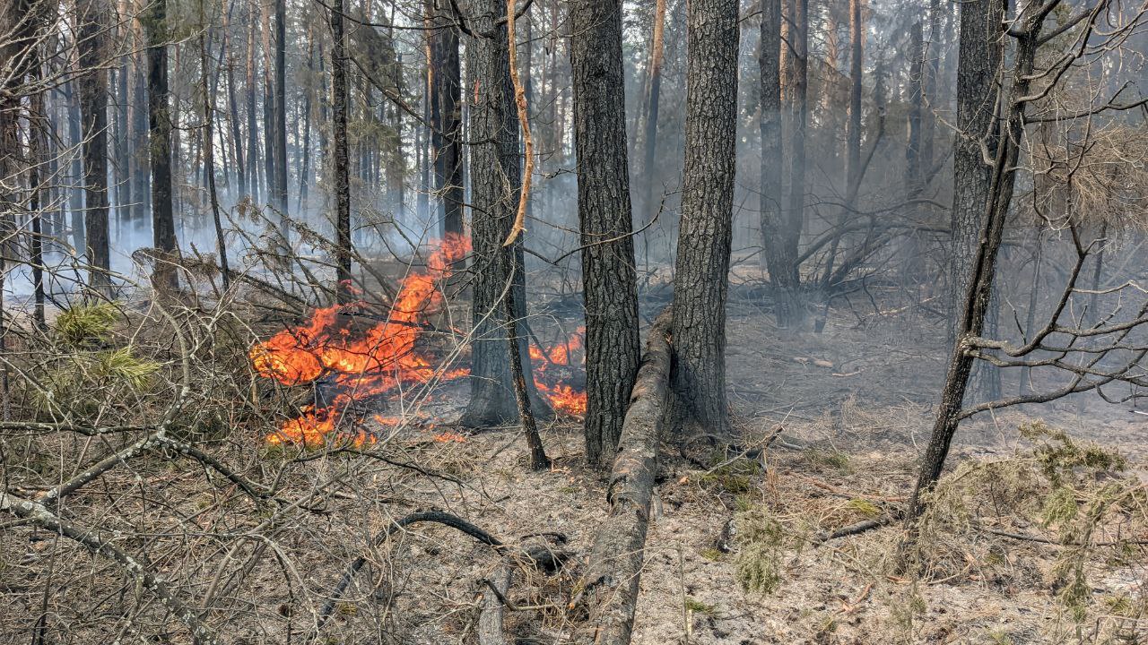 В Тюменской области бушуют природные пожары.