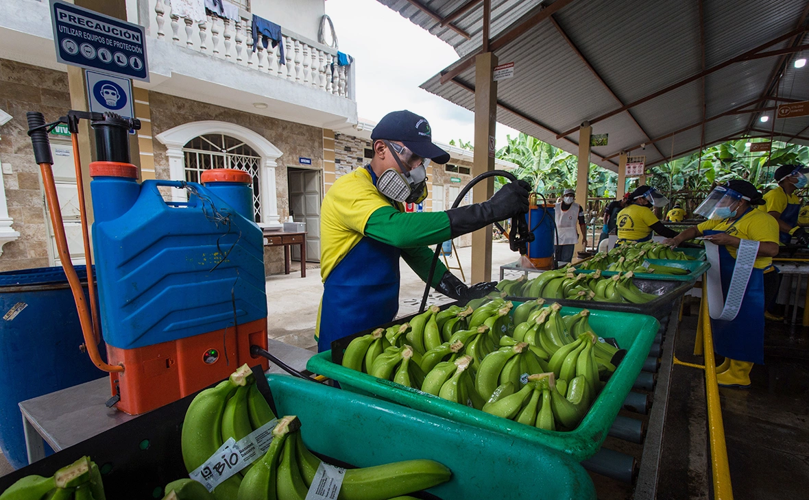 David Diaz / dpa / Global Look Press