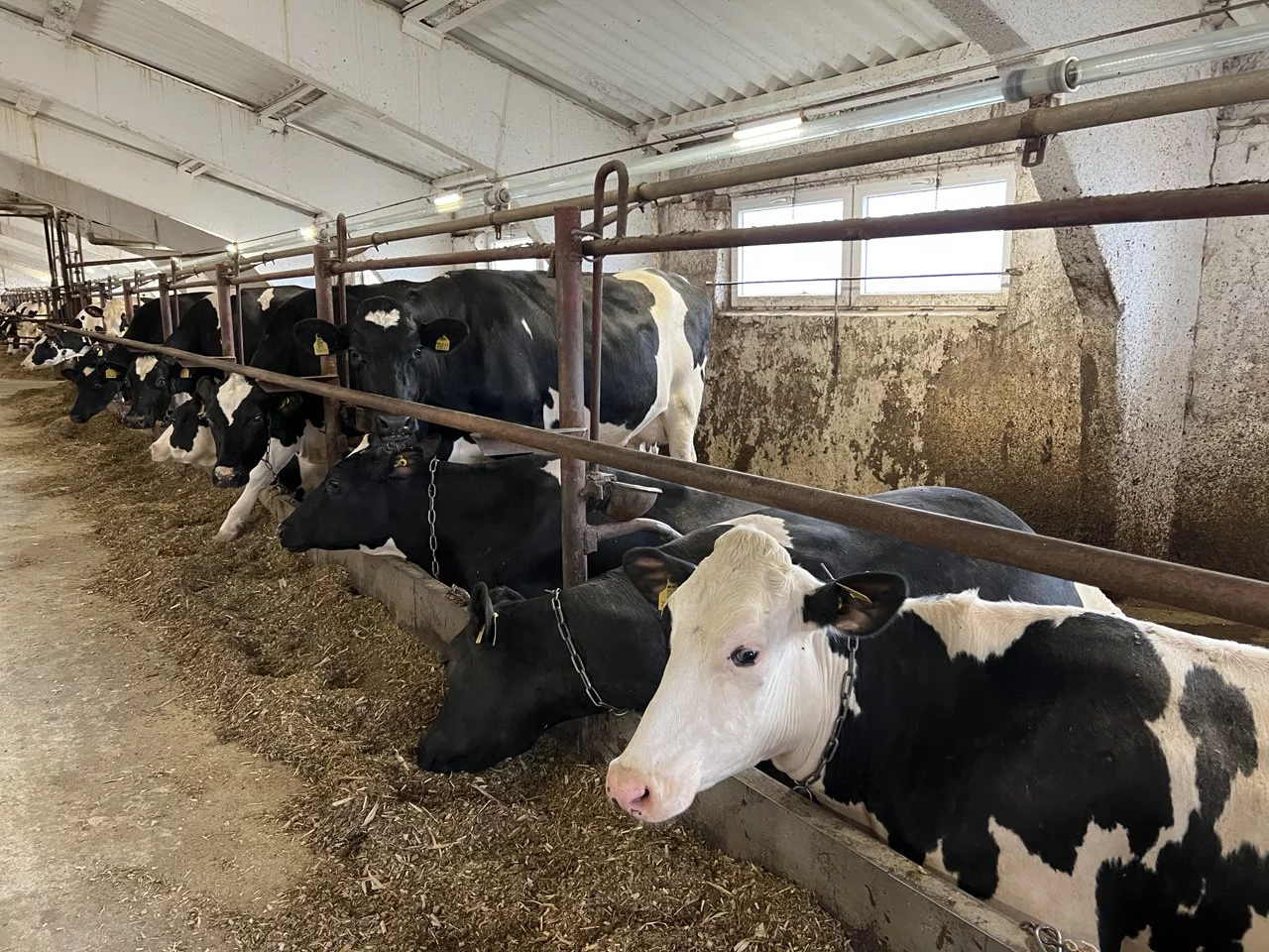 РБК Татарстан