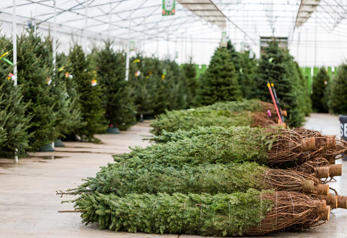 Фото: Arina P Habich / Shutterstock / FOTODOM