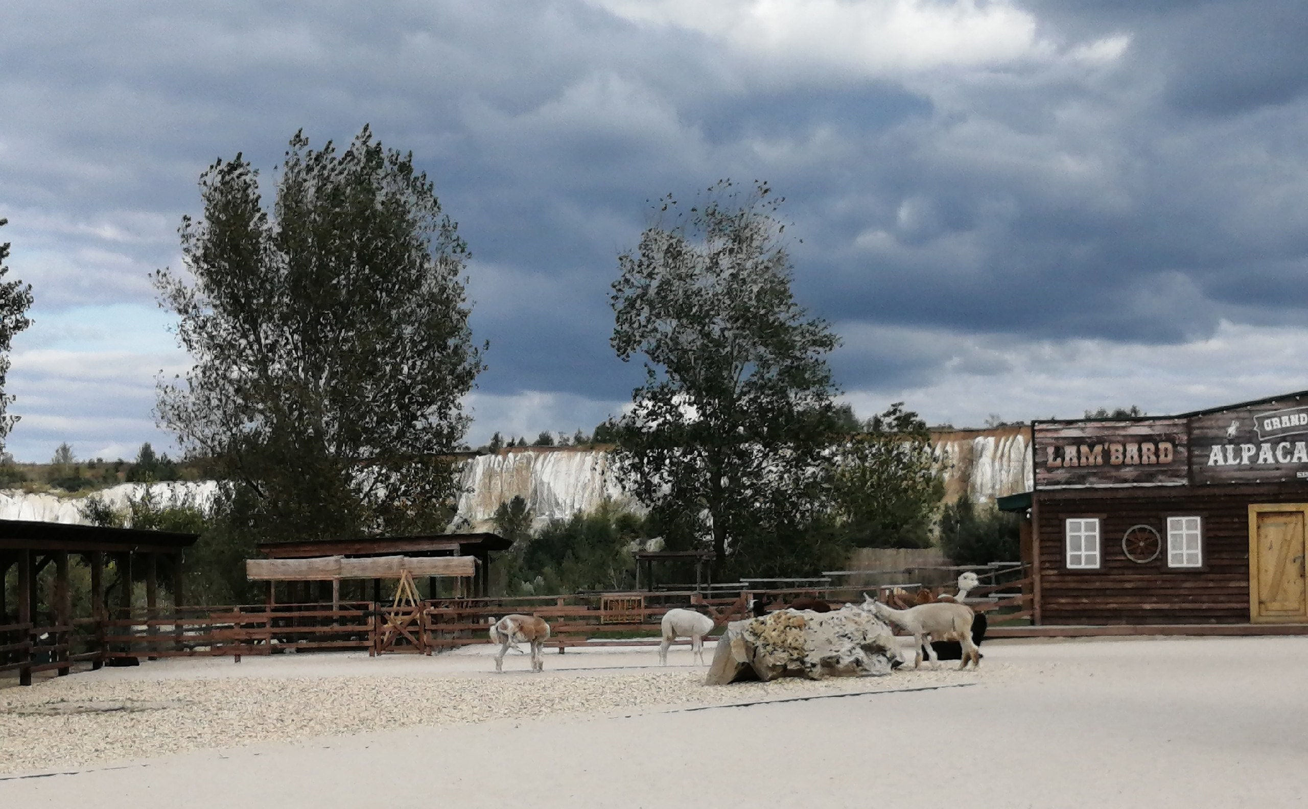 Фото: РБК Черноземье