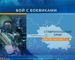В бою с боевиками на Ставрополье погибли спецназовцы