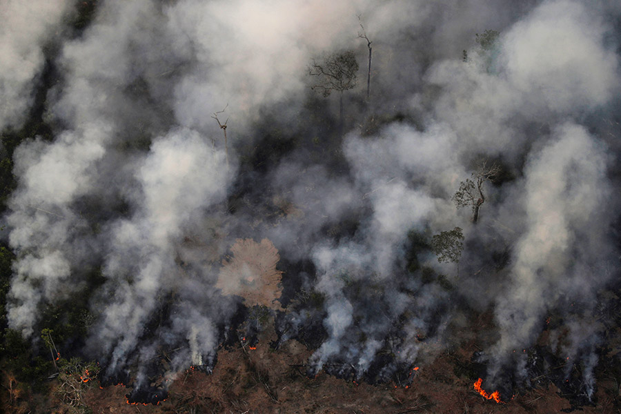 Лесные пожары не редкость в Бразилии в период засухи, но в этом году количество возгораний стало рекордным за все время наблюдений (с 2013-го)