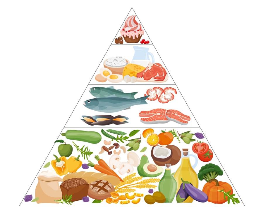 Читать онлайн «Кето-диета: 10 глав здорового питания», Вячеслав Пигарев – Литрес, страница 3