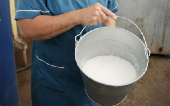 Для поддержки производителей молочной продукции выделят 70 млн рублей