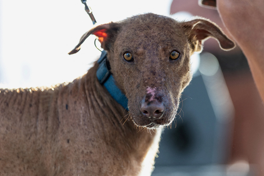 Фото: Carlos Barria / Reuters