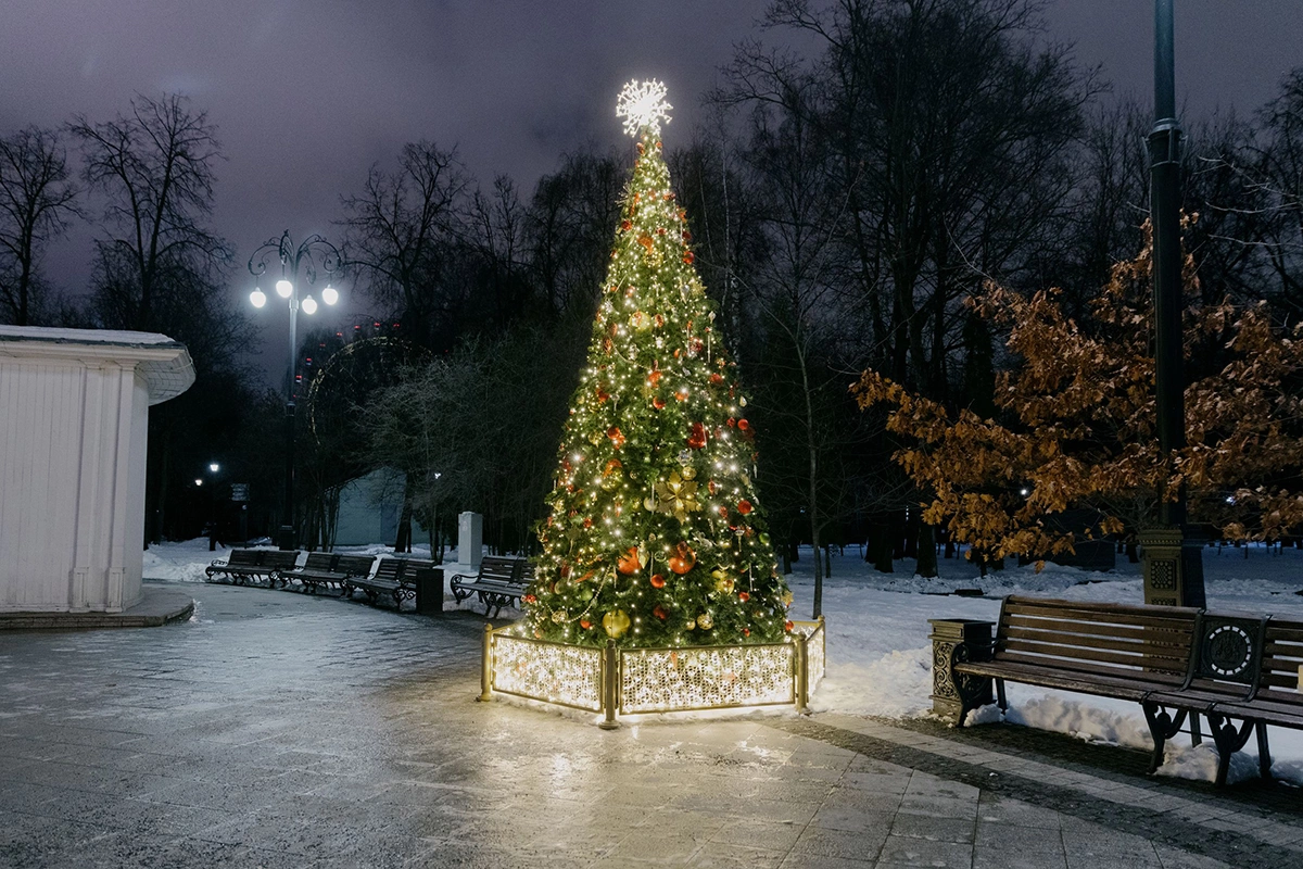 Изначально ель была символом Рождества, а не Нового года